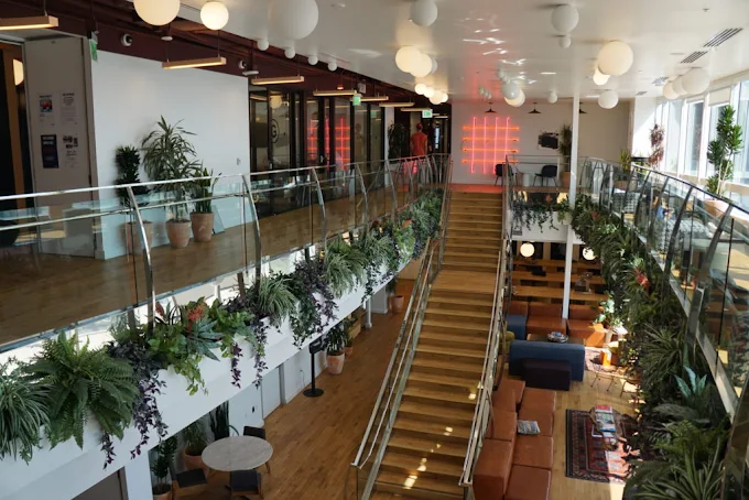 wework interior