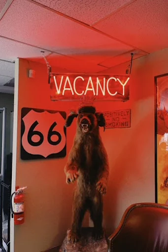 Bear Vacancy sign