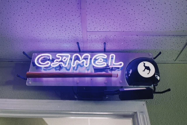 Camel neon sign