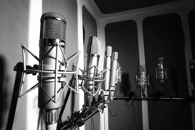 Recording Connection Audio Institute Vintage Mics